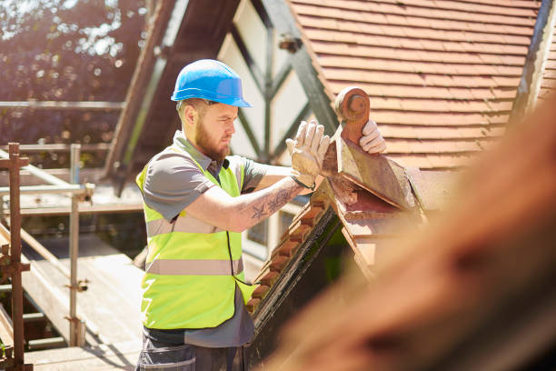 Best Roofing Contractor Near Me  in Brevard, NC