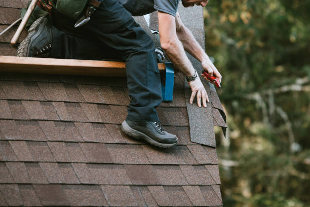 Best Sealant for Roof  in Brevard, NC